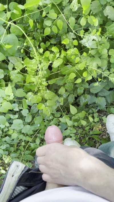 Help is always welcome when going hiking. Who would help, too?