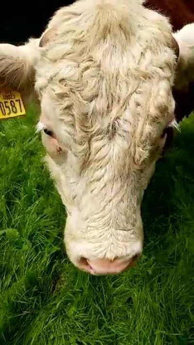 Not so casual anymore