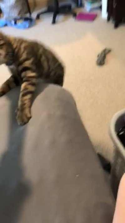 Meet today's flight captain: First Officer Pixel