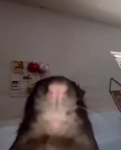 Yanagi waiting for Baki to stop having with Kozue be like