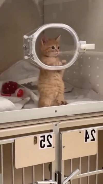 Just another day, waiting to be adopted