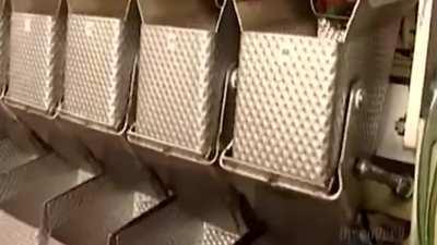 Ever wondered what happened to the Beans after they're eliminated? Wonder no more!