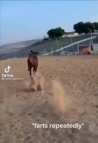 I didn't know they made gas powered horses...