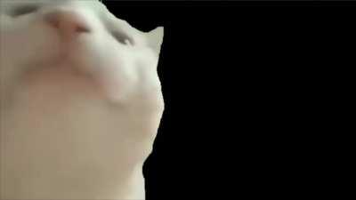 So thanks for that sick trailer intro