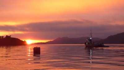 lancha zarpando rumbo a pichicolo, desde isla cabras, hornopiren