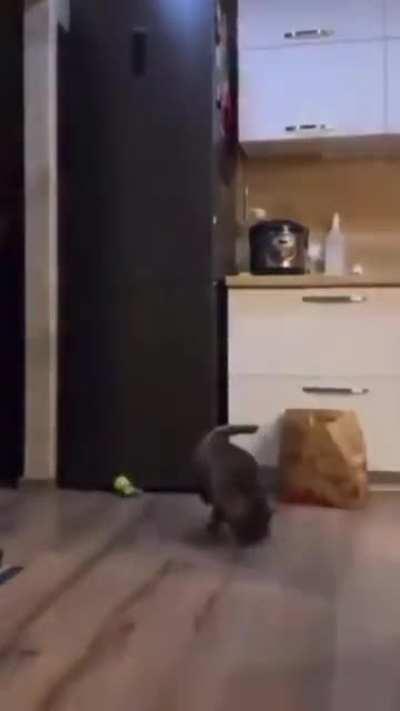 Breakdancing the way out ( not mine)