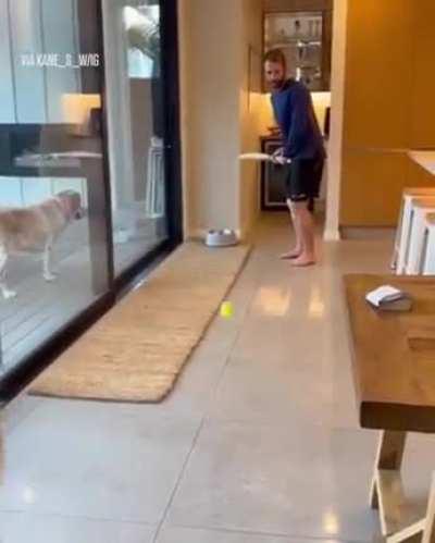 Kane Williamson's marvelous innings after a long injury layoff takes him to the top of the ICC Test Batting Rankings.