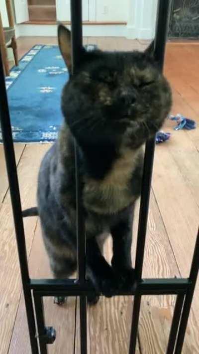 Coming out of self isolation be like