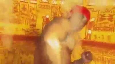 anyone wanted to see ankha?