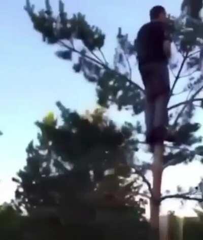 Tonight on Gravity vs Man