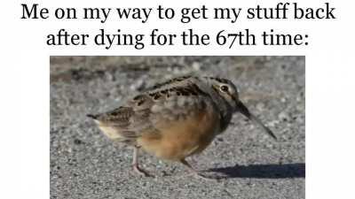 No matter what, I'm always having fun in Valheim