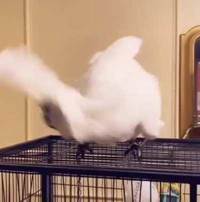 My plan once the pandemic’s over