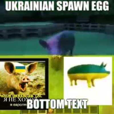 pigg in meinkraft!? 🙀👃🐖