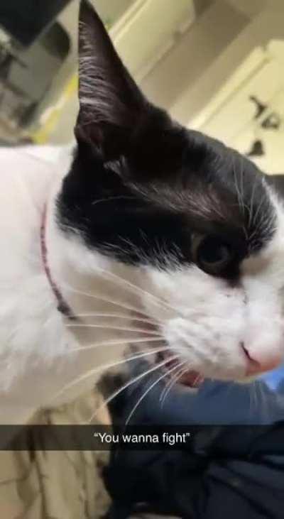 He did in fact, want to fight