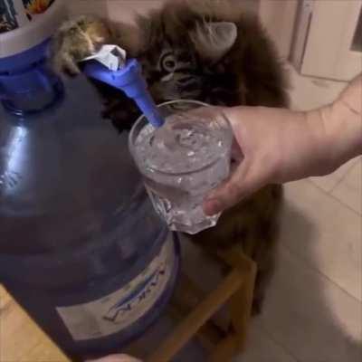 Water Refiller