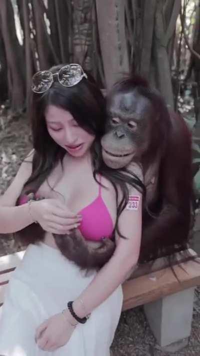 Monk knows what heâs doing ð