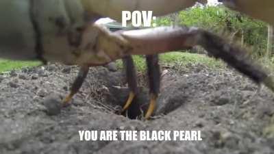 What you hear is the figurehead.