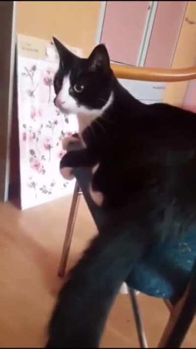 Trust no one, not even yourself