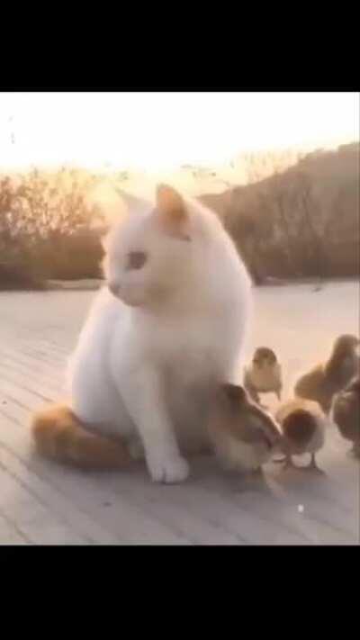 Taking care like a true mama