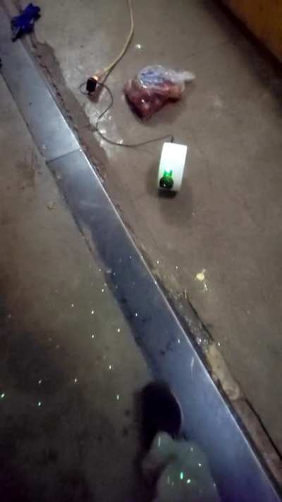 An interesting yitke