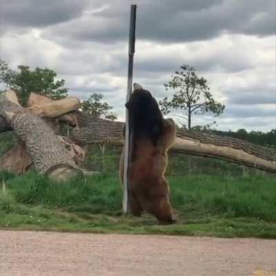 Good morning everyone! :))