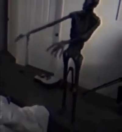 My boi Gup when he gets back from the Night Shift (I have insomnia)