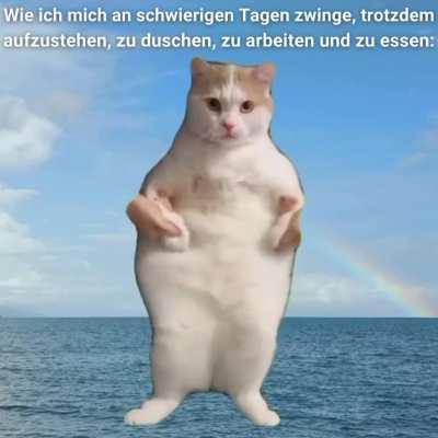 ich😹iel