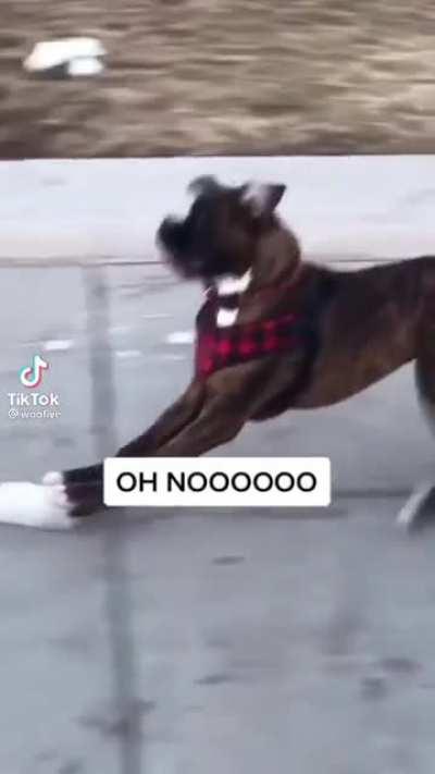 How do I make it stoooop?!?