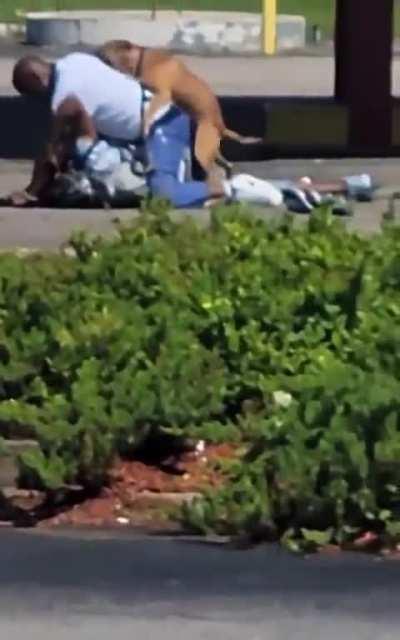 that fucking dog 😭