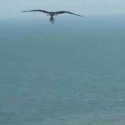 2020 is getting wild!!!!!