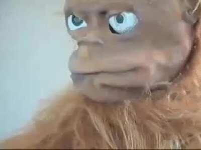 When you're trying to prepare for your massive invasion of the Soviet Union, but you once again have to divert troops to bail out your worthless Italian 