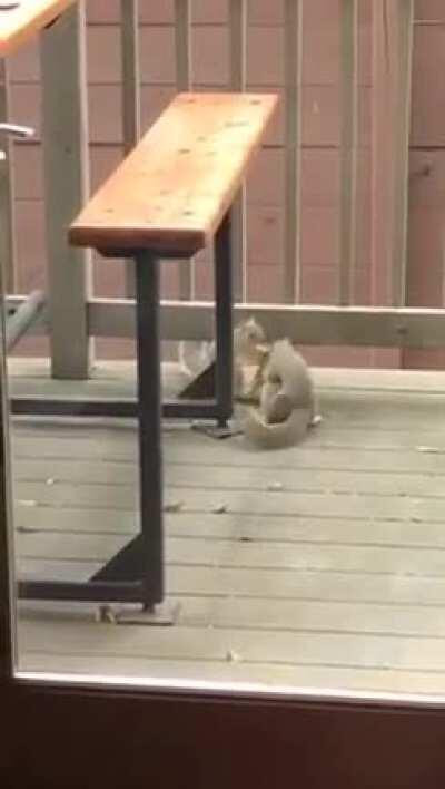 When you get home from the bar and realize all three of you are tops