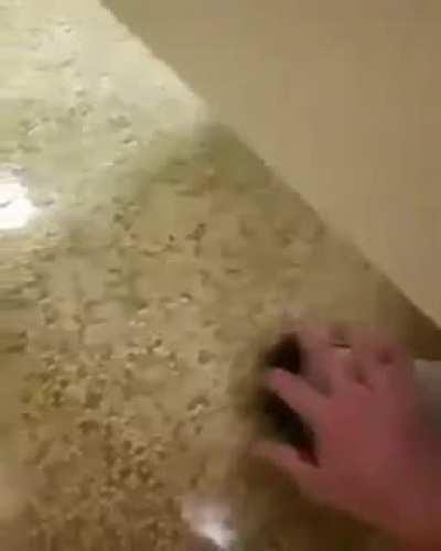 Maybe maybe maybe