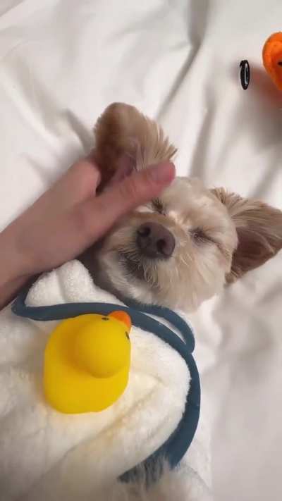 Eunbi for Cosmopolitian Korea