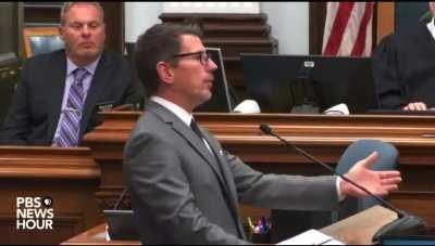 Your honor all my client did was... * proceeds to describe 3-5 felons and admits to a deadly weapon...