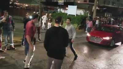 This Christmas tree farm has Newfies that will cart your tree to your car for you