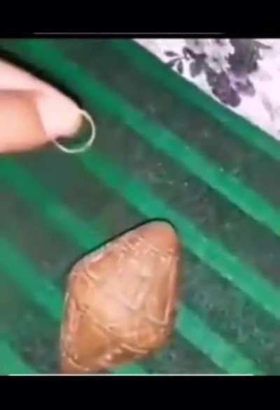 I don’t even know what is happening with this rock