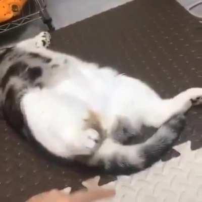 Just like those doorstops you played with as a kid