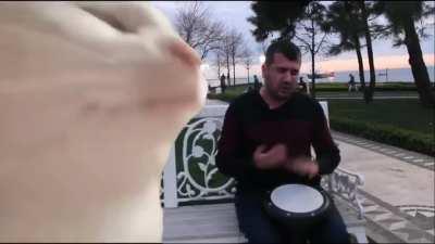 [120/120] Cat Got Us Fallin' In Love (Usher Ft Pitbull, Vibing Cat)