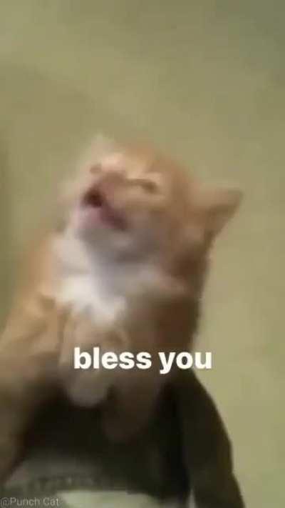 Who left my wunk powered car on? 