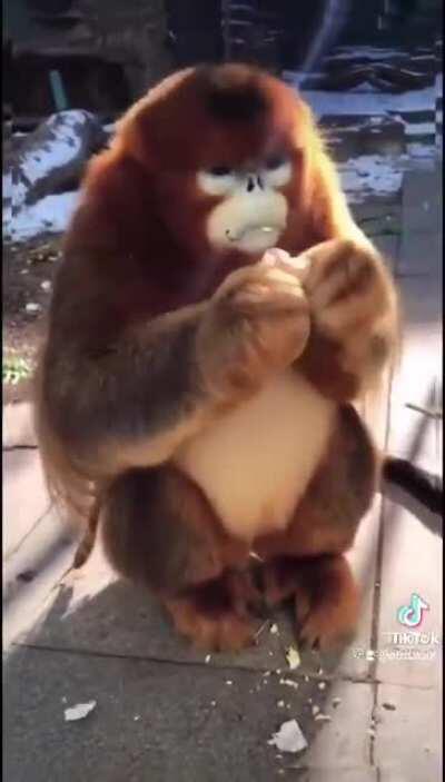 The Beast Titan be vibin tho