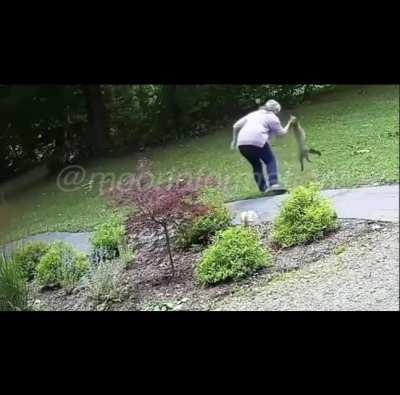 Rabies infested fox attacks woman outside her home while on the phone