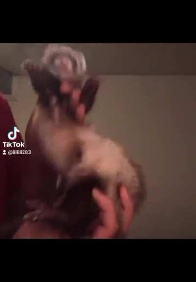 I edited this👉🏻👈🏻