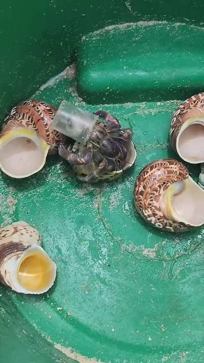 I have never seen this before.