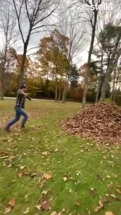 Thislooksfun