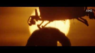 credit Amal Manmadhan YT noice