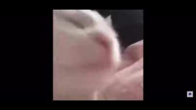 Me listening to Eminem and not understanding the lyrics