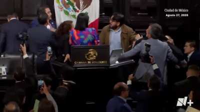 Senators in Mexico engage in fistfight after heated debate over U.S. military intervention against drug cartels