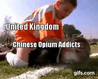 All my homies fight wars for drugs.