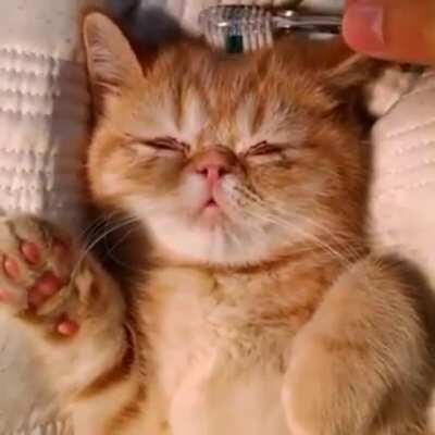 Sometimes you have to use a smol brush